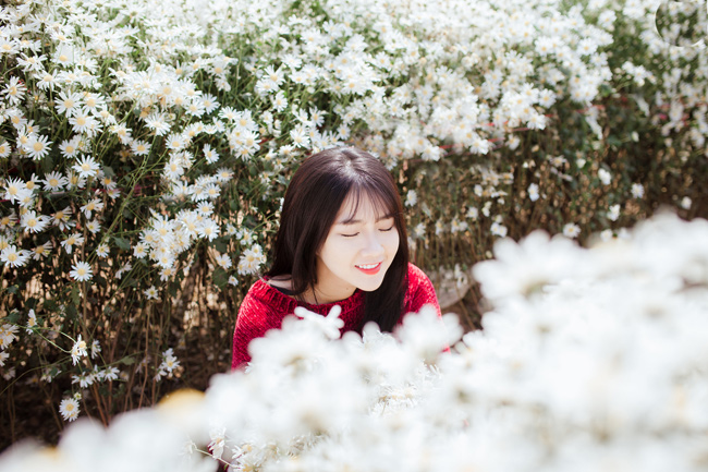 Say mê ngắm hot girl Sài thành đẹp như tranh vẽ bên cúc họa mi Hà Nội