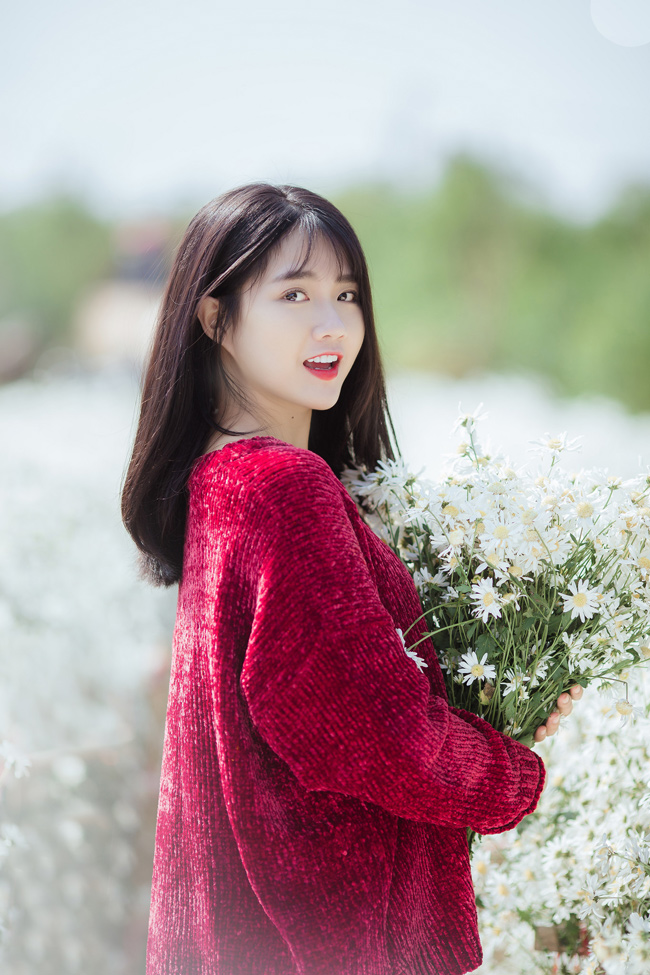 Say mê ngắm hot girl Sài thành đẹp như tranh vẽ bên cúc họa mi Hà Nội