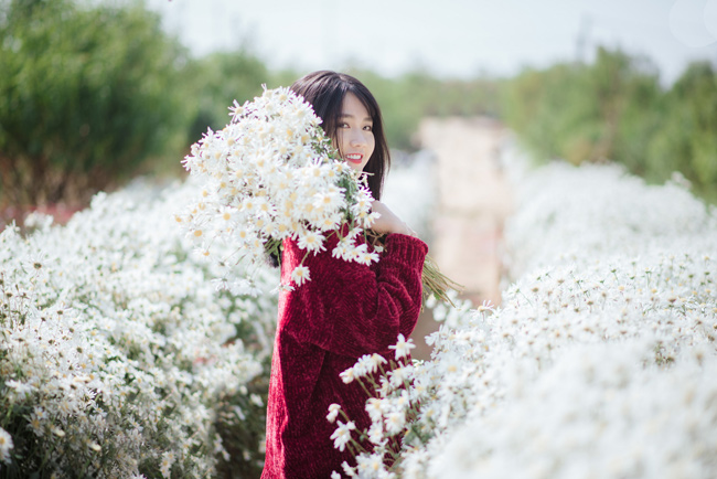 Say mê ngắm hot girl Sài thành đẹp như tranh vẽ bên cúc họa mi Hà Nội