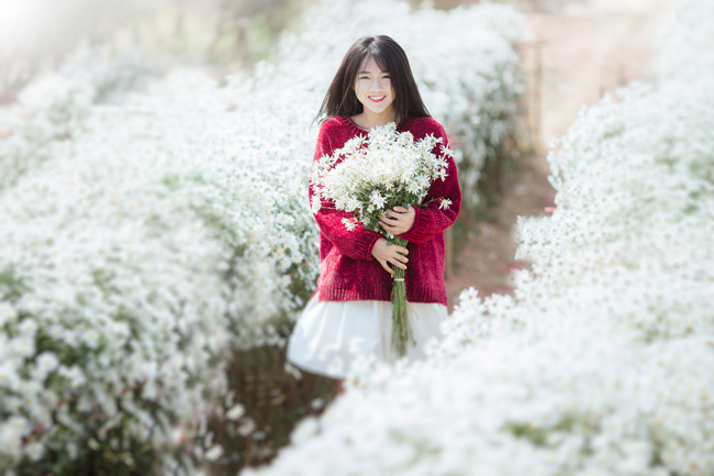 Say mê ngắm hot girl Sài thành đẹp như tranh vẽ bên cúc họa mi Hà Nội