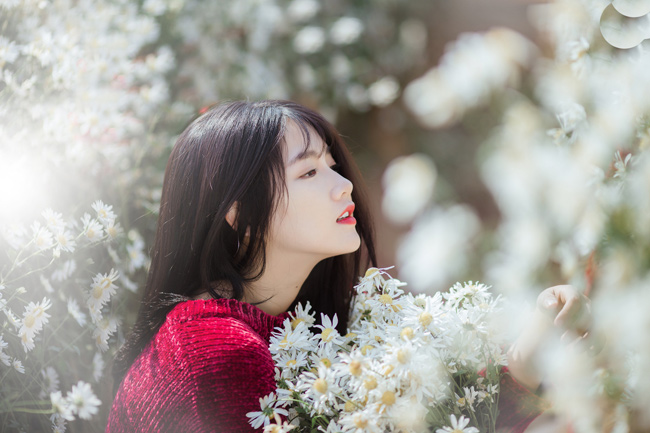 Say mê ngắm hot girl Sài thành đẹp như tranh vẽ bên cúc họa mi Hà Nội