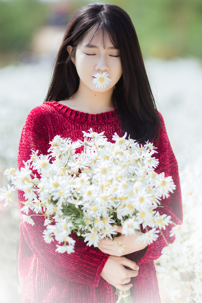 Say mê ngắm hot girl Sài thành đẹp như tranh vẽ bên cúc họa mi Hà Nội