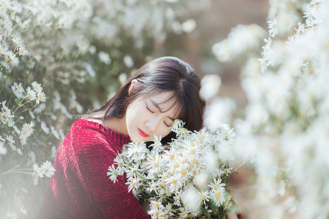 Say mê ngắm hot girl Sài thành đẹp như tranh vẽ bên cúc họa mi Hà Nội