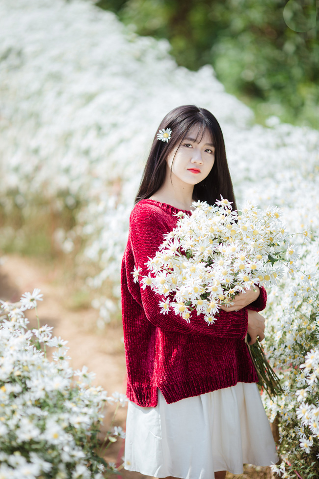 Say mê ngắm hot girl Sài thành đẹp như tranh vẽ bên cúc họa mi Hà Nội