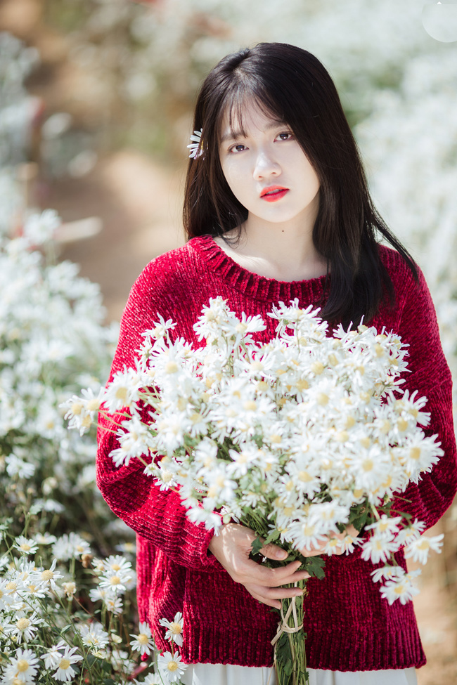 Say mê ngắm hot girl Sài thành đẹp như tranh vẽ bên cúc họa mi Hà Nội