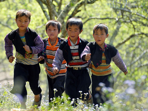 Thủ tướng chỉ đạo chuẩn bị tổng điều tra dân số và nhà ở