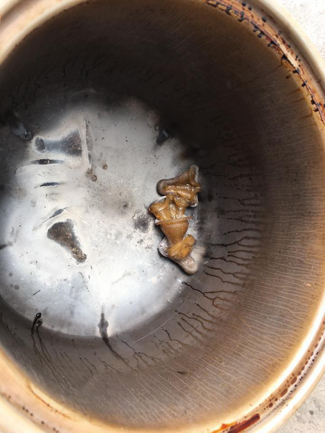 Cười rụng rốn với những pha mất não của hội mẹ bỉm sau sinh: Cá kho hóa cá thui rơm, tương ớt thành tương than