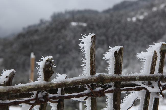 Đây là lý do khẳng định mùa đông năm nay sẽ khắc nghiệt hơn