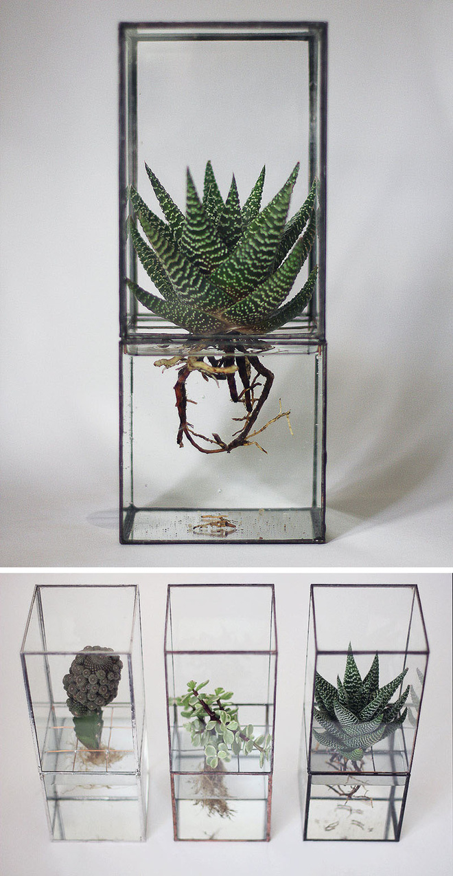 Không gian sống chưa bao giờ gần gũi thiên nhiên đến vậy với 14 ý tưởng tuyệt vời này