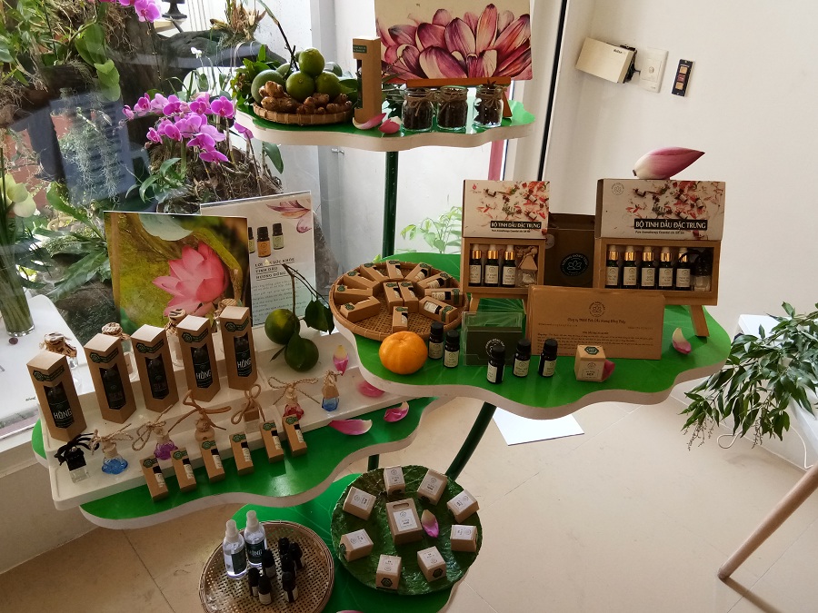 Chùm ảnh: Ngắm Đồng Tháp Mười giữa lòng Sài Gòn