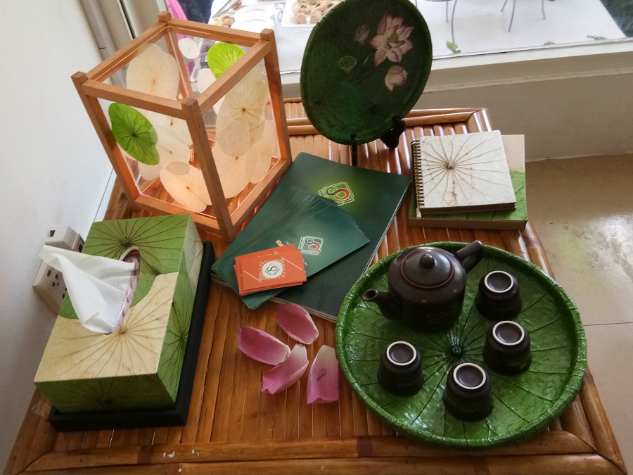 Chùm ảnh: Ngắm Đồng Tháp Mười giữa lòng Sài Gòn