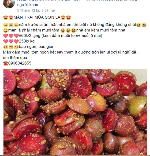 Mận trái mùa giá chát, chị em công sở vẫn tranh nhau mua