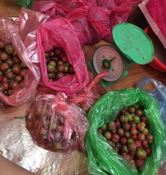 Mận trái mùa giá chát, chị em công sở vẫn tranh nhau mua