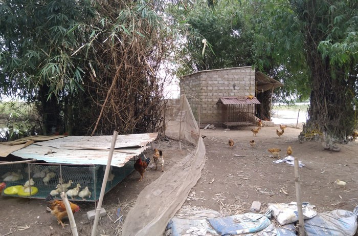 Nghi vấn người đàn ông treo cổ tự tử do làm ăn thua lỗ