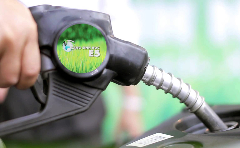 Đổ xăng E5 chạy ôtô tiền tỷ: Chúng ta không phải chuột bạch