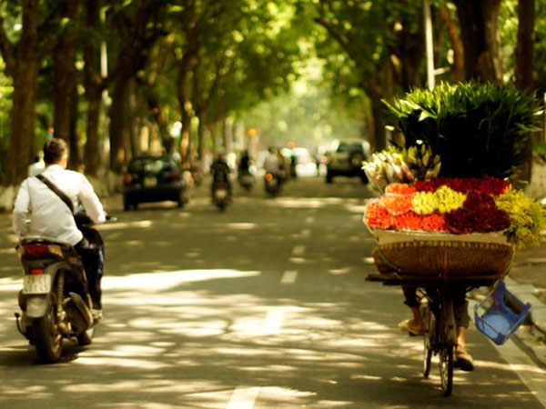 Dự báo thời tiết 12/11: Bão số 13 yếu dần, miền Bắc nắng dịu