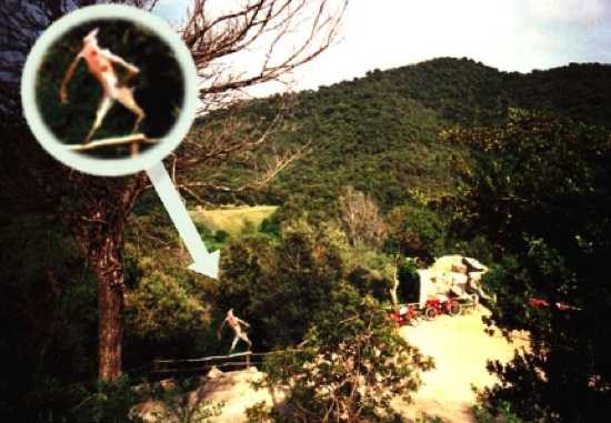 5 sinh vật huyền bí và những truyền thuyết đáng sợ được cho là có thật