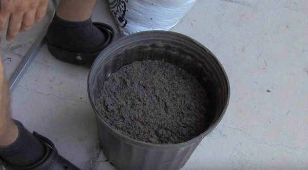 Lạ đời cách trồng cà chua thái miếng chỉ mất vài phút, sau được cả vườn cà chua sai trĩu Lạ đời cách trồng cà chua thái miếng chỉ mất vài phút, sau được cả vườn cà chua sai trĩu
