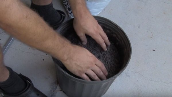 Lạ đời cách trồng cà chua thái miếng chỉ mất vài phút, sau được cả vườn cà chua sai trĩu