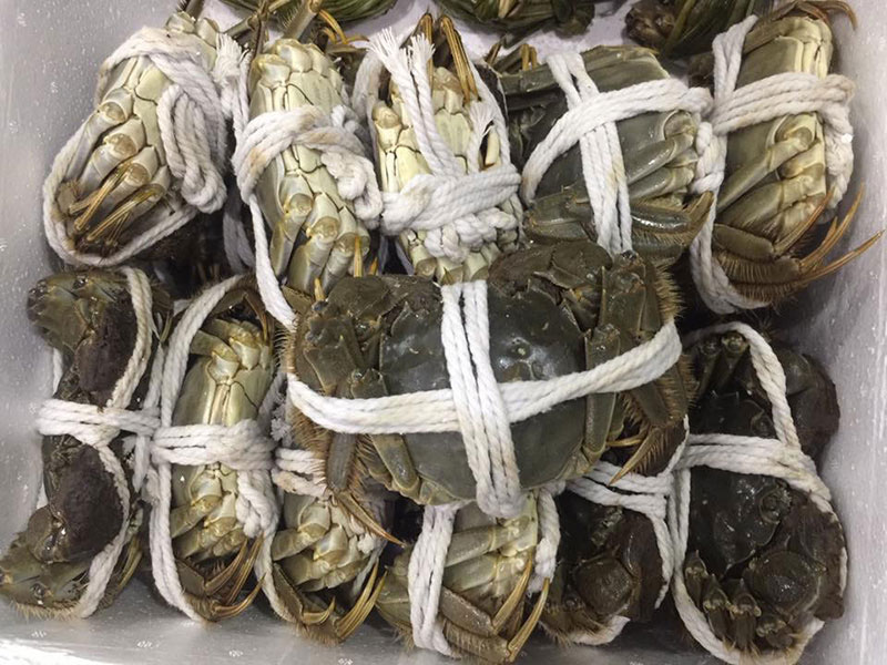 Con cua lông 2 lạng giá gần 1 triệu: Chị em thòm thèm xót ruột