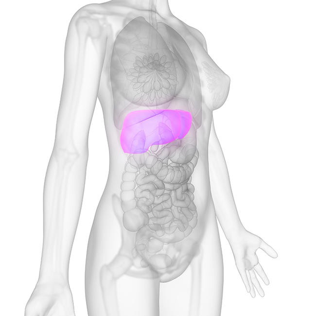 6 dấu hiệu cảnh báo gan của bạn có thể đang... bị hỏng