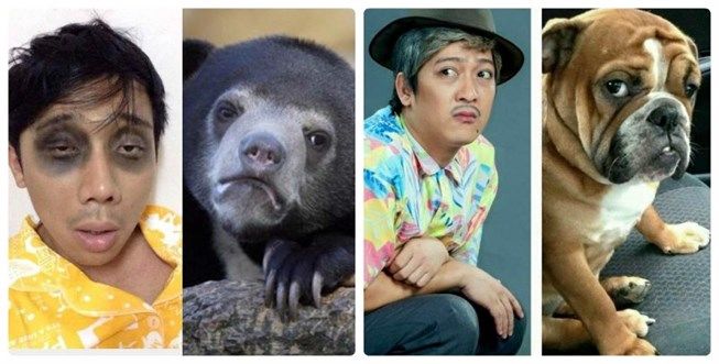 Trấn Thành - Hari Won: Cặp vợ chồng có cuộc sống hôn nhân khác người nhất showbiz Việt