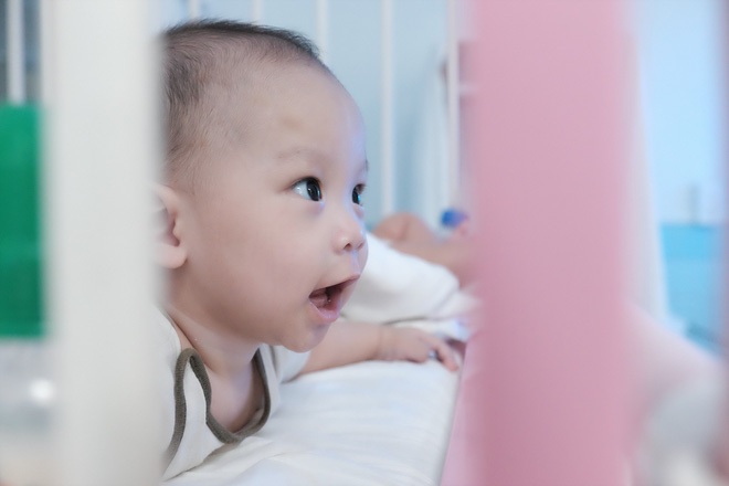 Được chăm sóc tận tình, bé trai bị vứt ở lề đường khiến kiến lửa bò đầy miệng đã bụ bẫm, khỏe mạnh