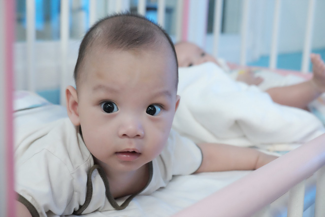 Được chăm sóc tận tình, bé trai bị vứt ở lề đường khiến kiến lửa bò đầy miệng đã bụ bẫm, khỏe mạnh