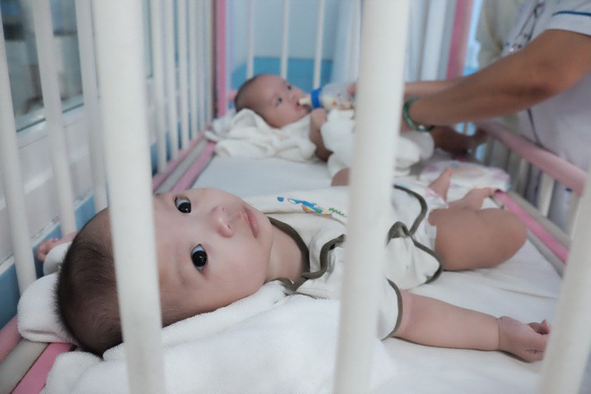 Được chăm sóc tận tình, bé trai bị vứt ở lề đường khiến kiến lửa bò đầy miệng đã bụ bẫm, khỏe mạnh