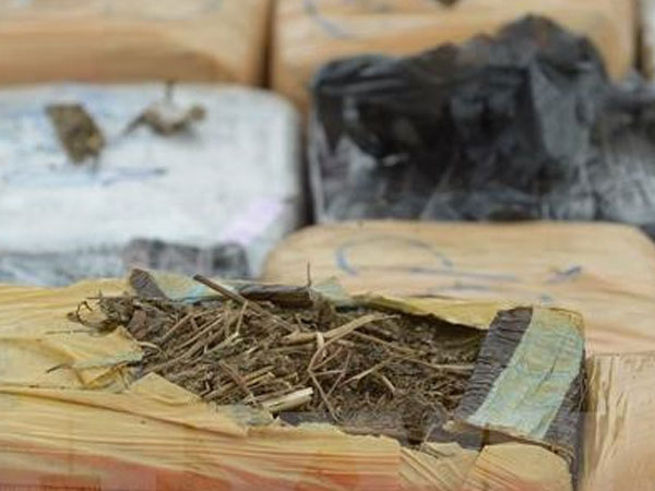 Phát hiện lô hàng nghi vấn là cần sa tại sân bay Nội Bài