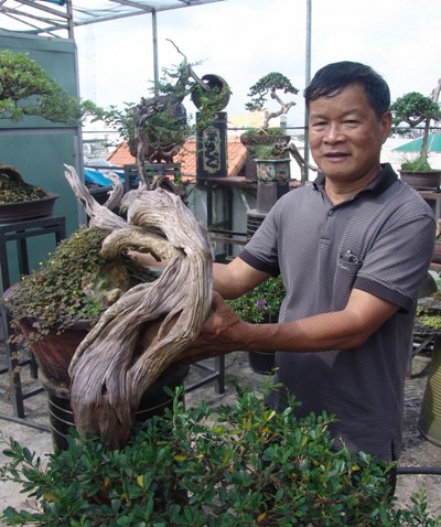 Cận cảnh: Lão nông Sài Gòn phù phép gốc củi thành cây cảnh nửa tỷ