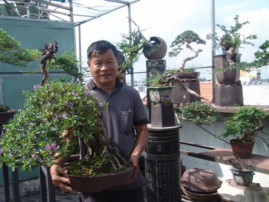 Cận cảnh: Lão nông Sài Gòn phù phép gốc củi thành cây cảnh nửa tỷ