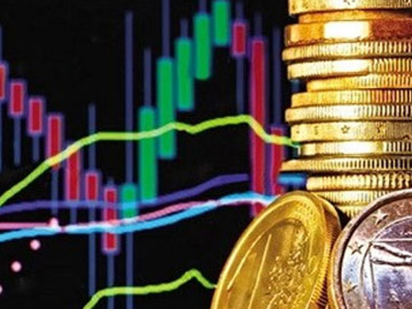 Cá mập châu Á và những chuyến săn hàng tỷ USD ở Việt Nam Cá mập châu Á và những chuyến săn hàng tỷ USD ở Việt Nam
