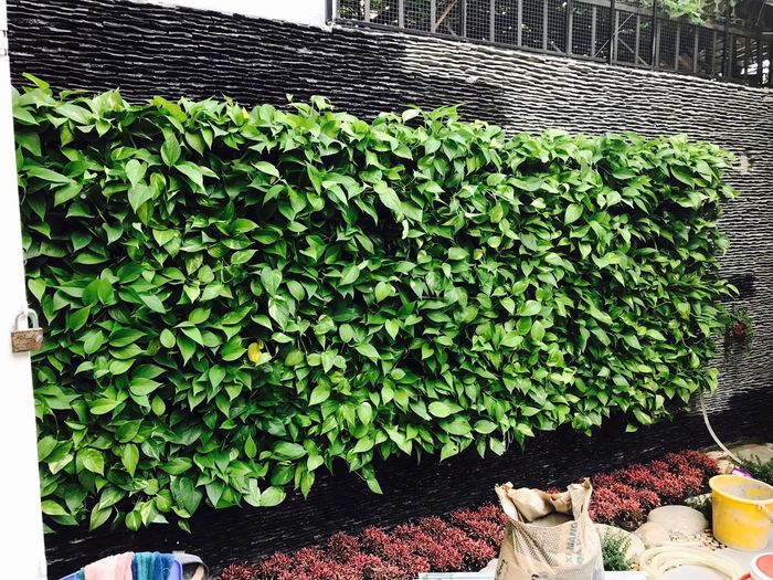 Hồ Quang Hiếu khoe nhà mới đẹp lung linh sau chia tay Bảo Anh Hồ Quang Hiếu khoe nhà mới đẹp lung linh sau chia tay Bảo Anh