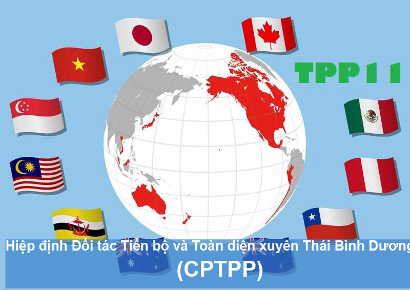 TPP phiên bản mới: Hé lộ con số Việt Nam hưởng lợi