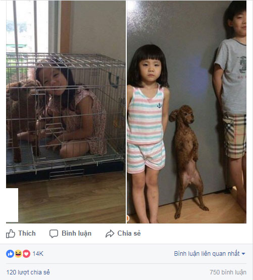 Bộ ba có phúc cùng hưởng có phạt cùng chịu siêu dễ thương chiếm trọn cảm tình của cư dân mạng