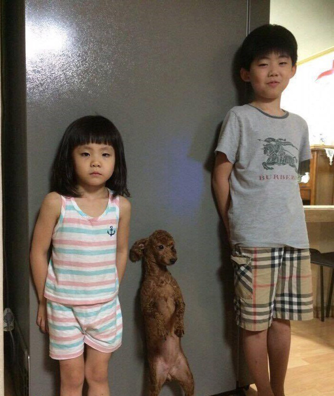 Bộ ba có phúc cùng hưởng có phạt cùng chịu siêu dễ thương chiếm trọn cảm tình của cư dân mạng