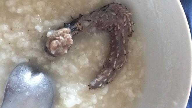 Câu chuyện mộc mạc đầy xúc động về món tiền nhỏ ông ngoại giấu kỹ dành cho cháu gái đi học xa