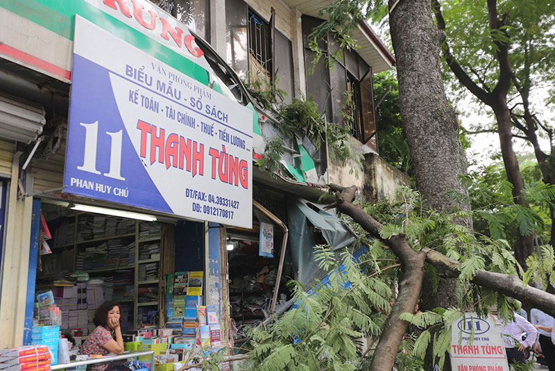 Hiện trường vụ cổ thụ đè xe Mercedes ở trung tâm Hà Nội