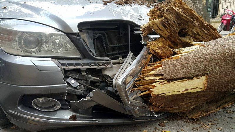 Cổ thụ đè nát xế hộp, loạt xe máy trên phố Hà Nội