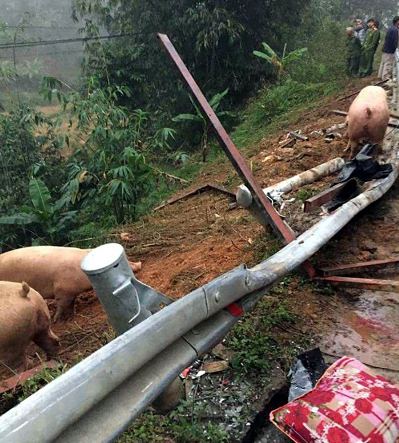 Thực hư thông tin xe chở lợn bị lật, người dân thi nhau hôi của, tài xế van xin còn bị... đánh