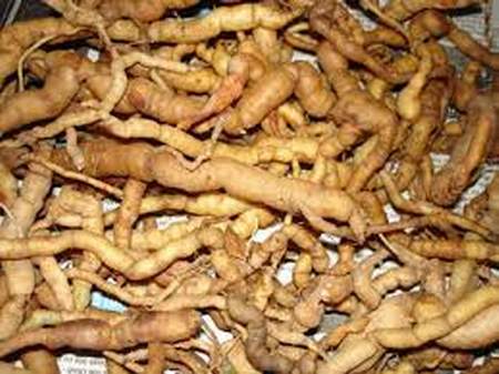 4 loại thảo dược nâng cao đời sống tình dục 4 loại thảo dược nâng cao đời sống tình dục