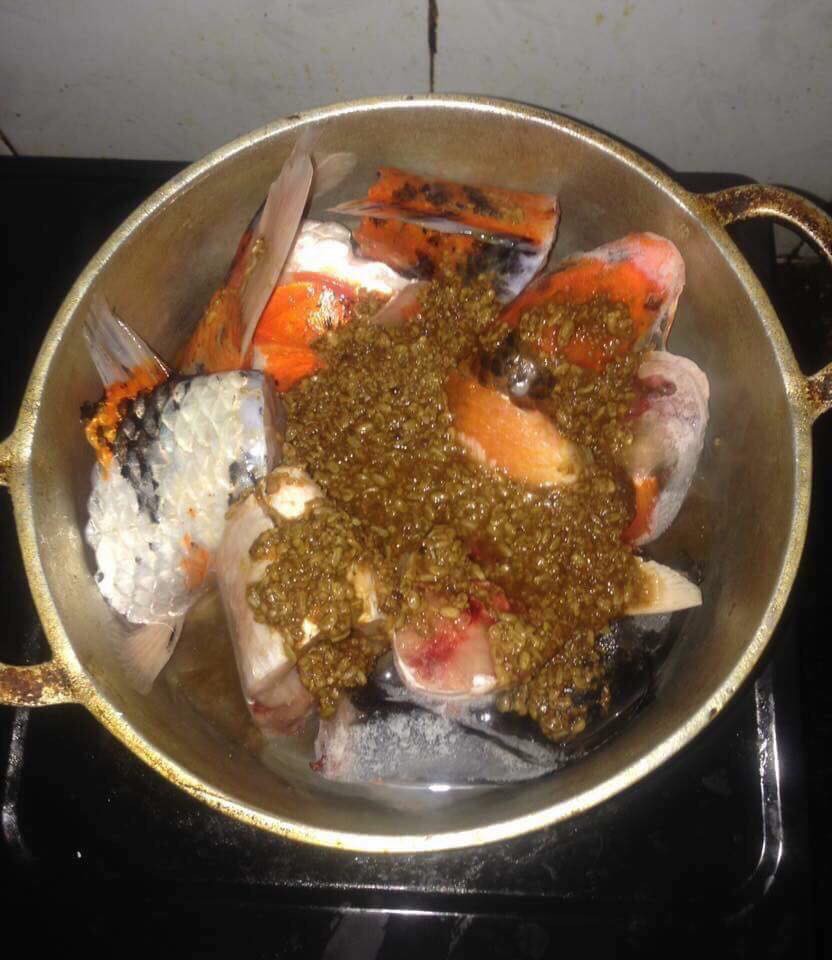 Chàng trai đem cá Koi đắt tiền đi kho tương khiến cộng đồng mạng ngơ ngác