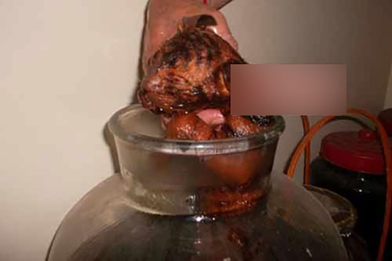 Hổ ngâm nguyên con trong hầm rượu nhà đại gia