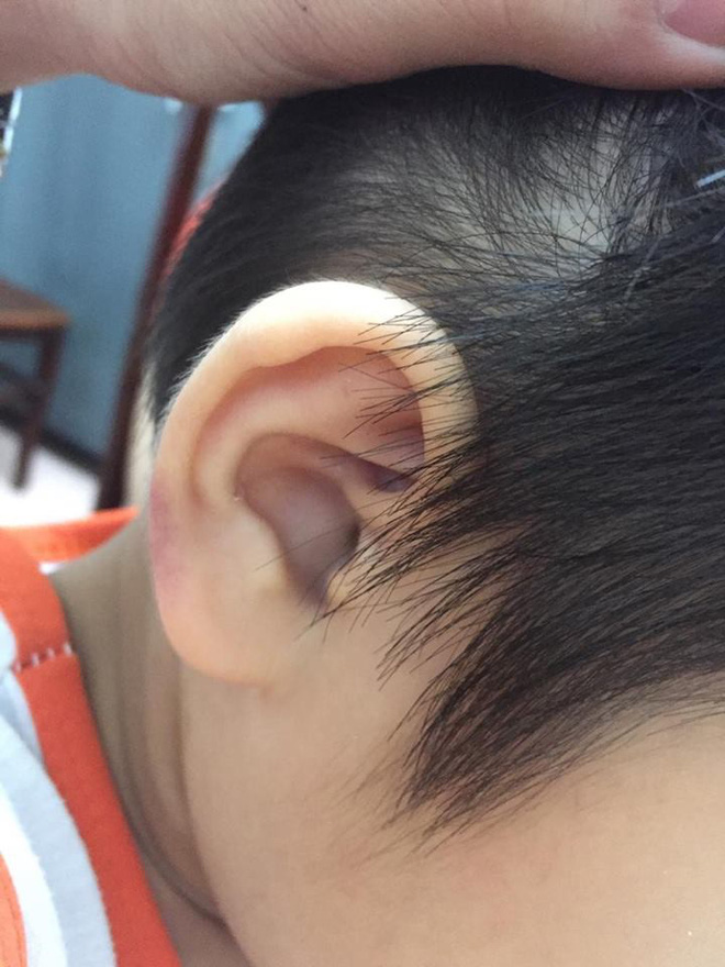 Mẹ kế bạo hành con riêng của chồng lên tiếng: Tất cả là sắp đặt, họ cố gắng để cháu làm cho em bực tức