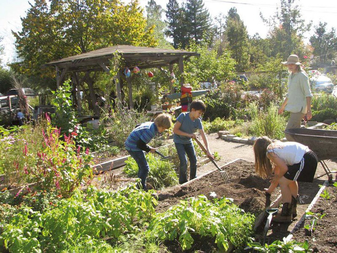 6 nguyên tắc từ giáo dục Waldorf của Đức mà mỗi gia đình nên áp dụng