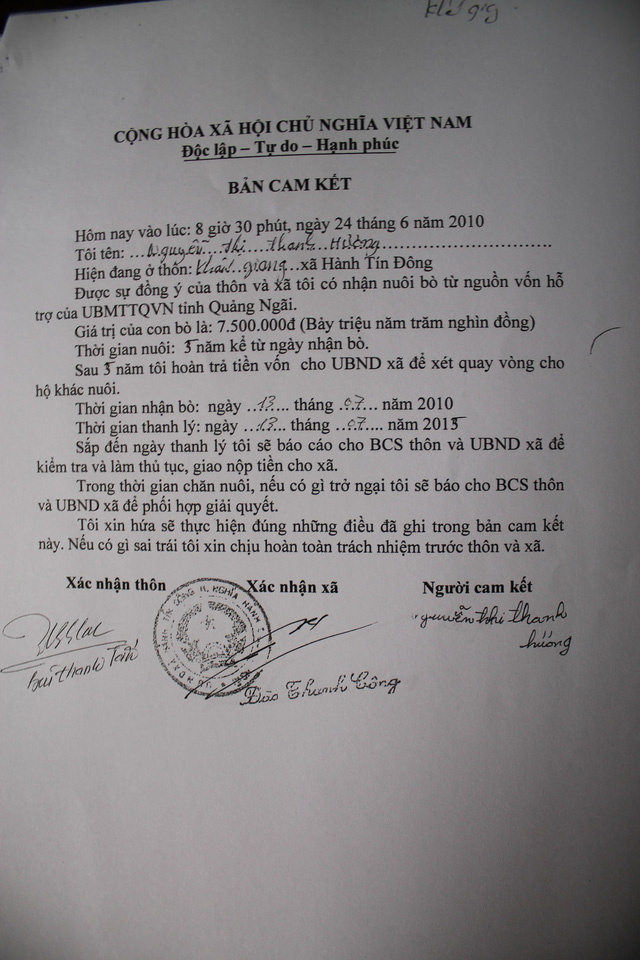 Vì sao 30 con bò giống hỗ trợ lại được bán cho hộ nghèo?