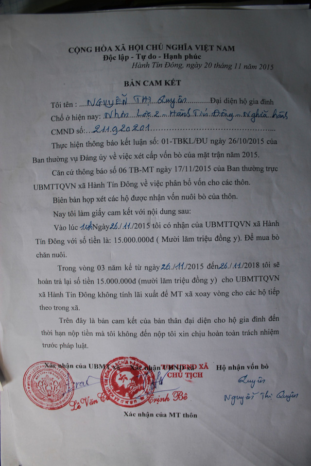 Vì sao 30 con bò giống hỗ trợ lại được bán cho hộ nghèo?