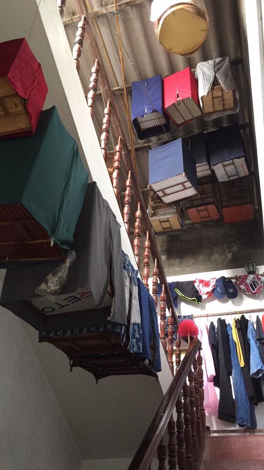 Cười ra nước mắt nghe chuyện anh chồng mê chim hơn tiền và vợ, phòng ngủ lồng chim che lấp cả ảnh cưới