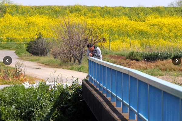 Toàn cảnh vụ án bé gái người Việt bị giết hại ở Nhật Bản: Hành trình 247 ngày tìm lại công lý